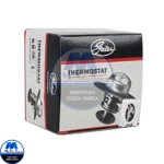 Chrysler Voyager RG/GS Termostat - Görsel 2